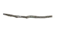 Natural cork oak branches - 3
