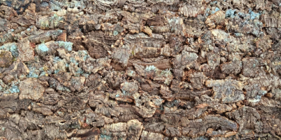 Wall Cork VIRGIN 25mm