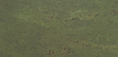Wall Cork Exclusive Green 3MM