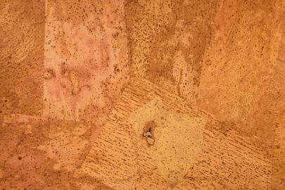 Cork fabric HAWANA NORMAL