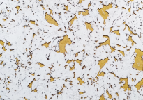 Wall Cork Yellow Snow 3MM - 2
