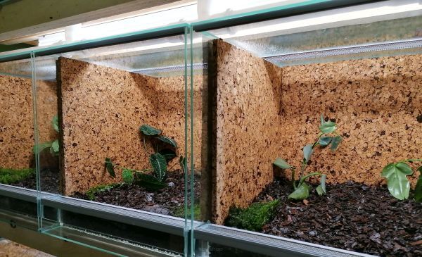 Expanded cork - discover the benefits of good insulation