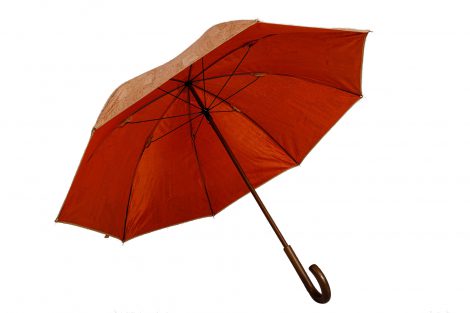 cork umbrella