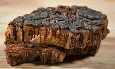 raw cork bark