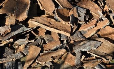What is the bark of the cork oak and where can it be used?